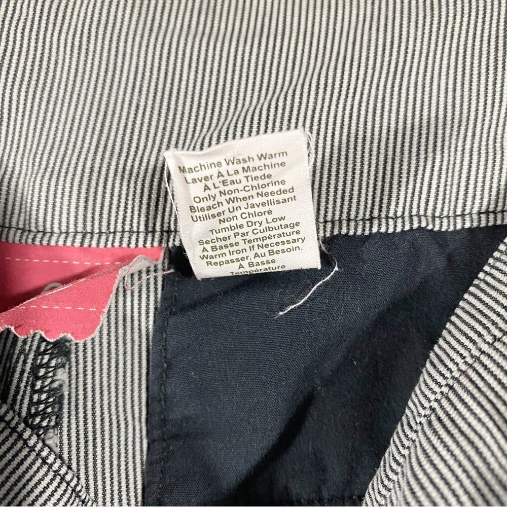 Anthropologie | Lux Striped Shorts - Picture 7 of 8